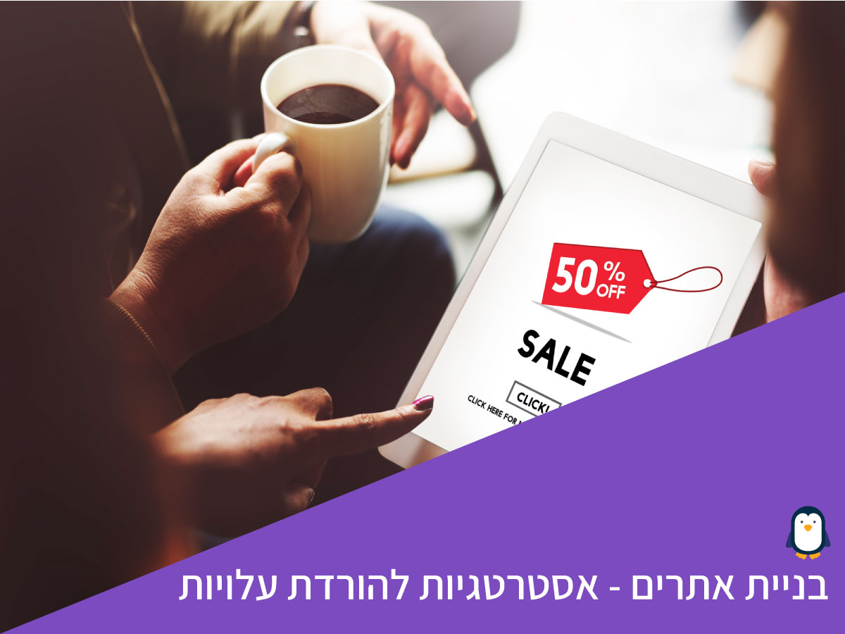 בניית אתרים - אסטרטגיה להורדת עלויות