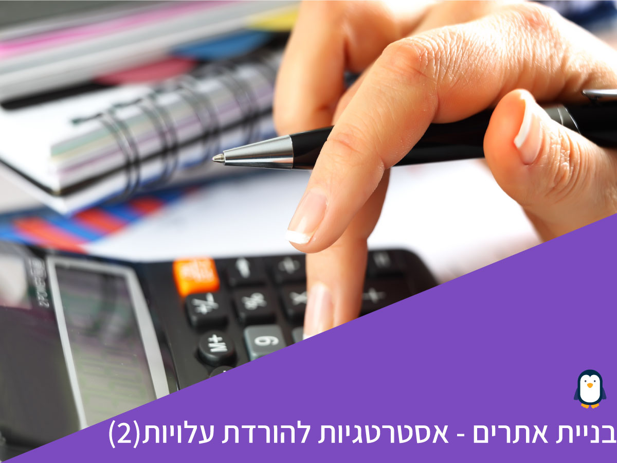 אסטרטגיה להורדת עלויות (2)