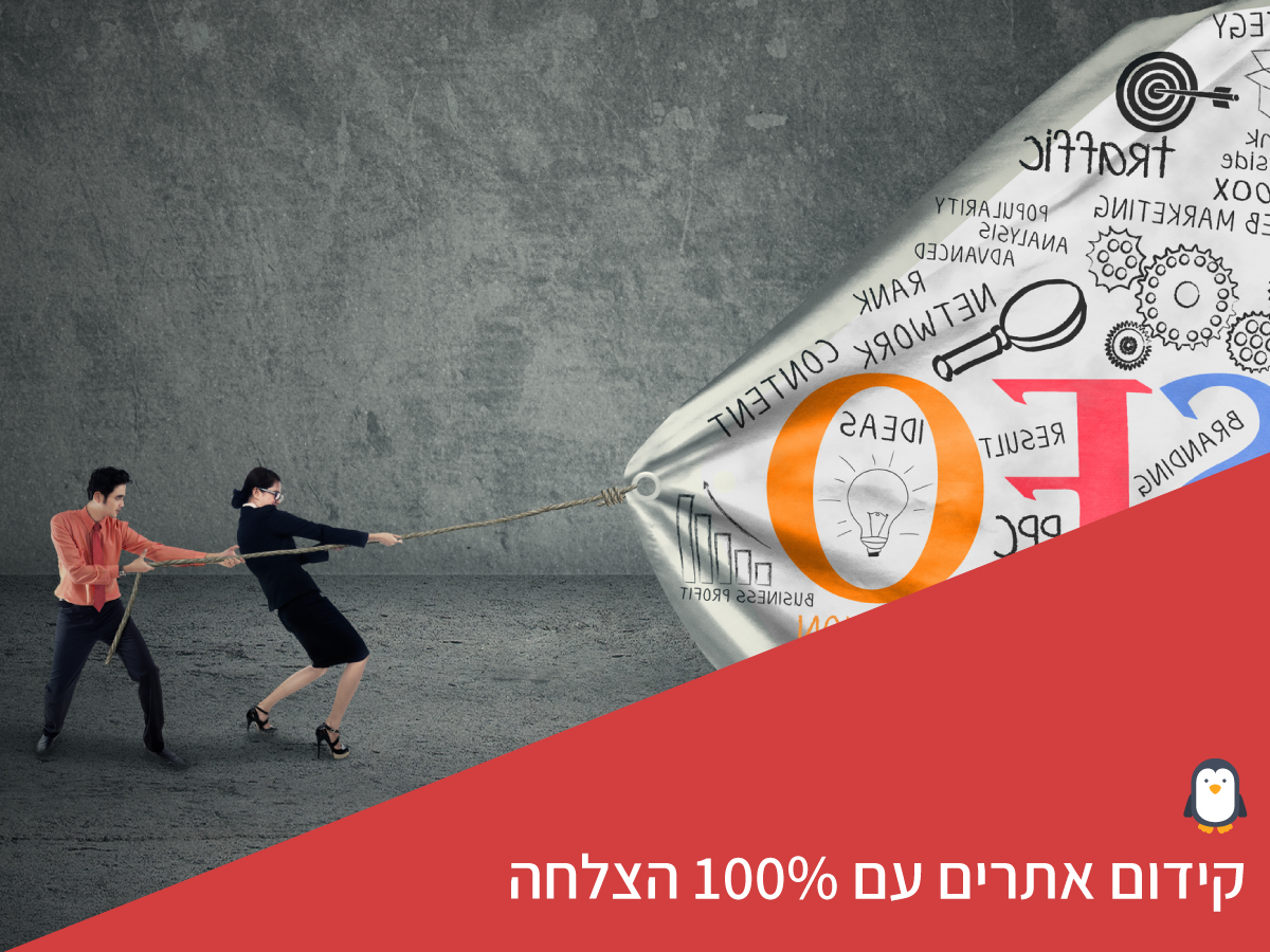קידום אתרים עם 100% הצלחה