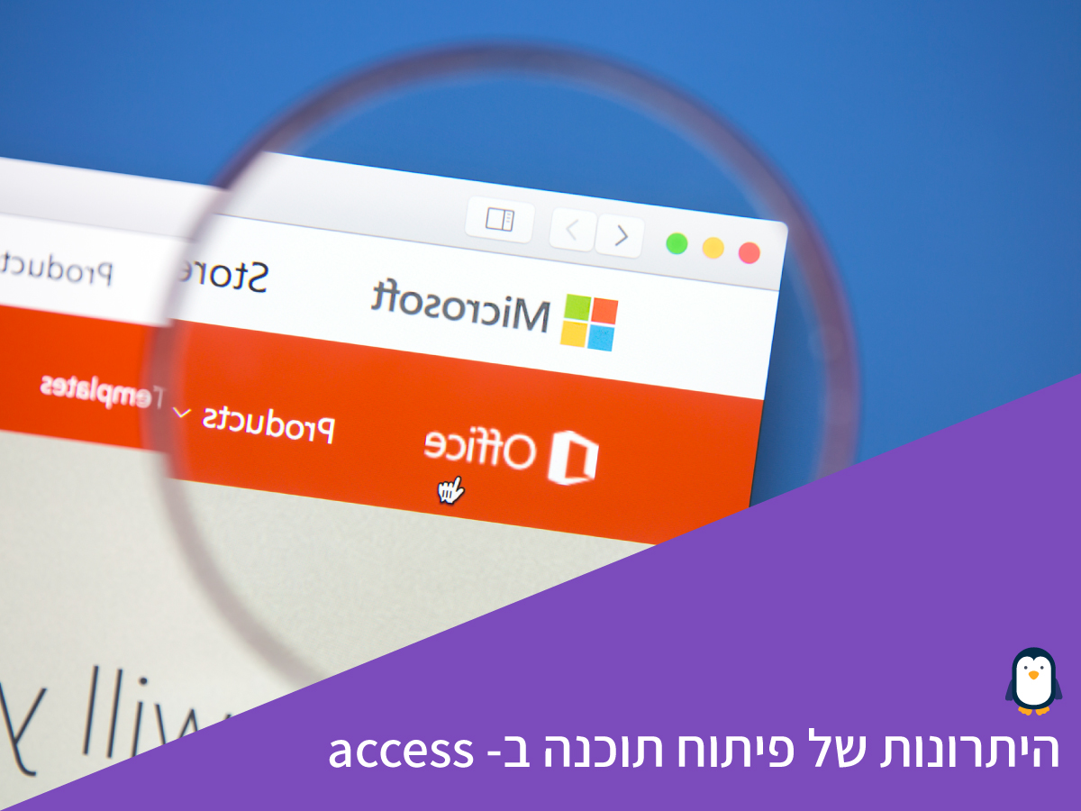 היתרונות של פיתוח תוכנה ב- access