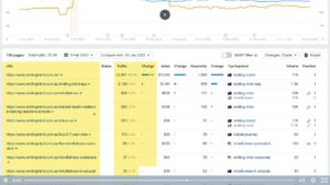 בעזרת AHREFS נוכל לדעת בחתך מסוים של זמנים, אילו הם הדפים שהביאו לנו את מירב הטראפיק לאתר